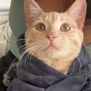 Meet your Posher, Aparna